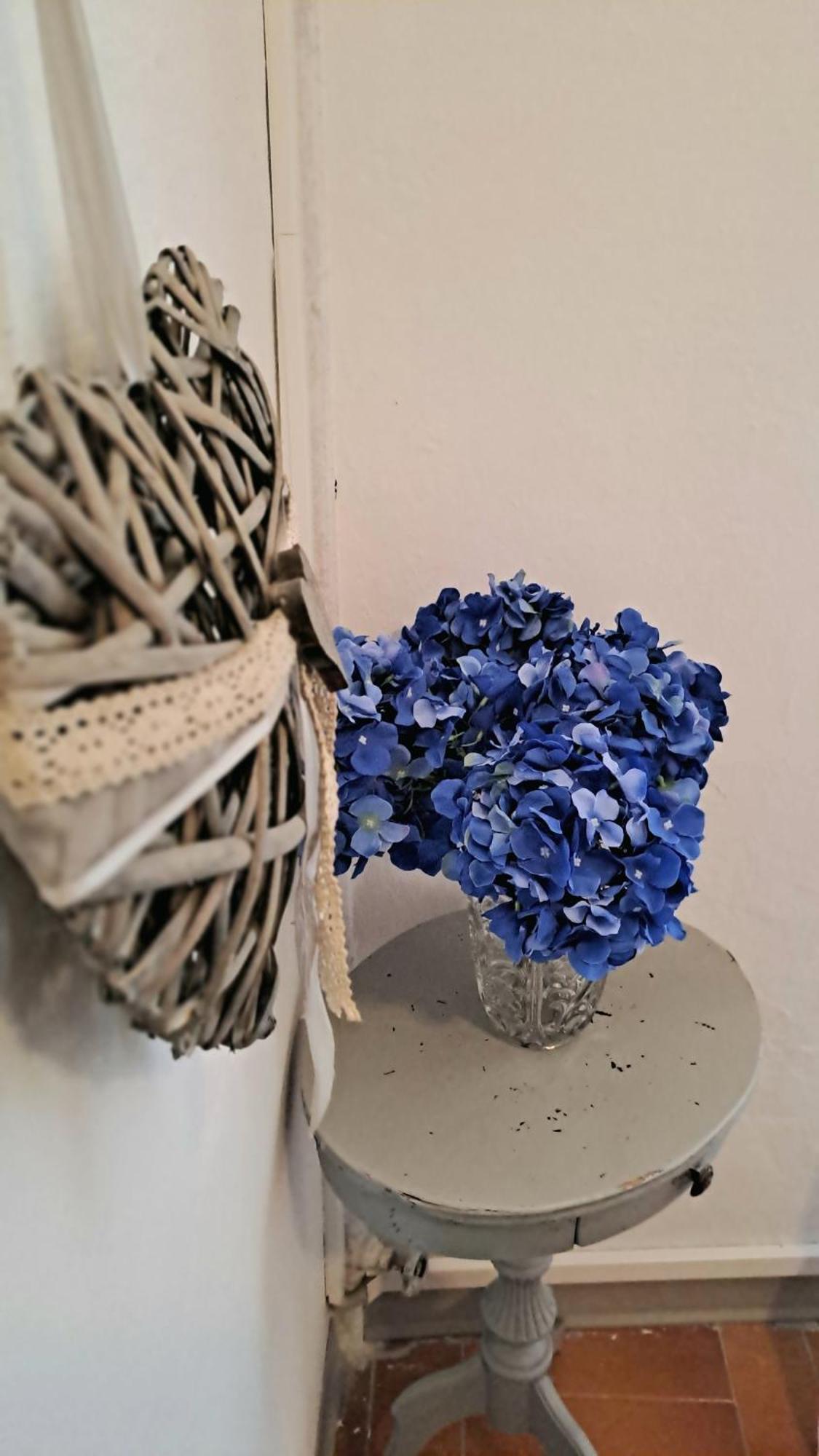 Blue Breeze Apartment Germignaga Zewnętrze zdjęcie